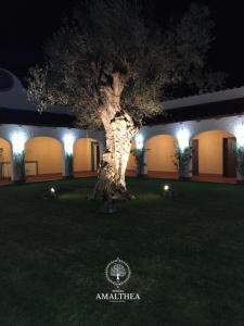 Φωτογραφία από το άλμπουμ του Tenuta Amalthea σε Sessa Aurunca