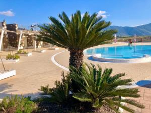 a palm tree in front of a swimming pool at Tenuta Amalthea in Sessa Aurunca