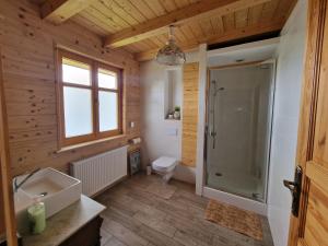La salle de bains est pourvue d'une douche, de toilettes et d'un lavabo. dans l'établissement Zawoja hrabkowa Jastrzębowka, à Zawoja