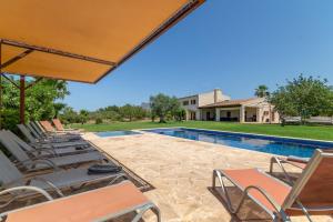 Bazén v ubytování Petra - 38510 Mallorca nebo v jeho okolí