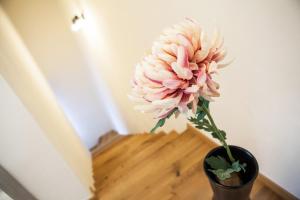 Fotografia z galérie ubytovania Zaži Apartmány Mýto pod Ďumbierom v destinácii Mýto pod Ďumbierom