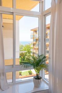 Fotografie z fotogalerie ubytování Veraxul Águila v destinaci Benalmádena + 19 fotografií