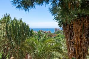 Fotografie z fotogalerie ubytování Veraxul Águila v destinaci Benalmádena