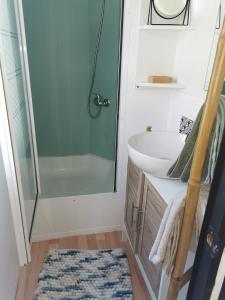łazienka z umywalką i prysznicem w obiekcie Dépendance cosy entre jardin et jacuzzi privés et piscine partagée w mieście Aubagne