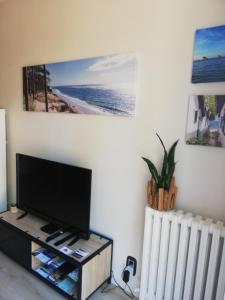 TV a/nebo společenská místnost v ubytování manon + 9 fotografií