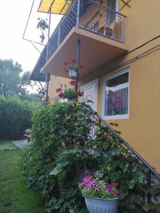 een huis met bloempotten op de trap en een balkon bij Casă de oaspeți ORSO in Sovata