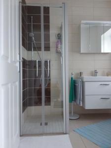 a glass shower in a bathroom with a dog in it at Haus Rosengarten- Ruhige Ferienwohnungen im Grünen in Sehlen +54 photos