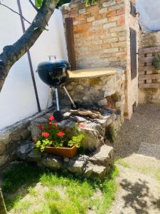 Сад в Chatky Daniel-Mikulov, a private campsite just for you