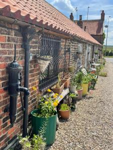 a row of plants in pots on a brick building at Yarm cottages the byre in Kirk Leavington