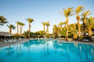 a large swimming pool with palm trees in a resort at Giardino Dei Pini - Boutique Hotel in Alliste