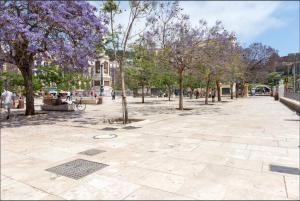 park z drzewami z fioletowymi kwiatami i chodnikiem w obiekcie Merced10 3E w Maladze