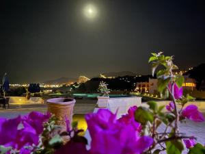 a view of a city at night with purple flowers at La Siesta Al Sokhna in Ain Sokhna