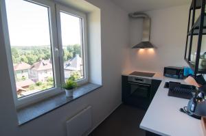 eine Küche mit zwei Fenstern und einer weißen Arbeitsplatte in der Unterkunft Apartmán na Kamenci in Teplice nad Metují