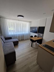 a living room with a couch and a table at New cosy Karklu Apartment in Klaipeda in Klaipėda
