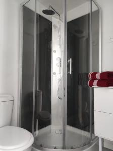 a glass shower in a bathroom with a toilet at 16 rue des Déportés in Charmes