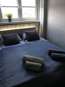 Una cama con dos almohadas encima en un dormitorio. en Apartament Barcelona, en Kielce
