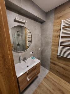 uma casa de banho com um lavatório e um espelho em Apartamenty Hallera 4 em Jarocin