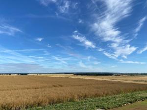 a large open field with a blue sky and clouds at Jolie maison avec SPA à la campagne ! 