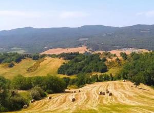 Príroda v okolí apartmánu