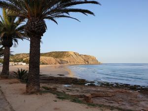 two palm trees on a beach next to the ocean at Top-floor 2 BR holiday home with sea view and pool in Luz