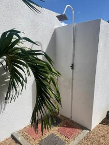 a plant sitting next to a white wall with a shower at Villa des palmiers in Grand-Baie
