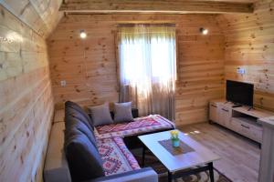 a living room with a couch and a tv at Durmitor view in Žabljak