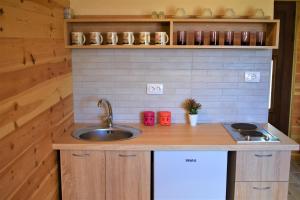 a kitchen with a sink and a counter top at Durmitor view in Žabljak