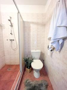 Koupelna v ubytování Business Penzion La Pera