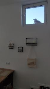 Gallery image of Apartament 4 Piętro in Sopot