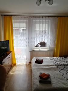 Postel nebo postele na pokoji v ubytování Pasja