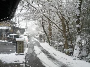 京都的住宿－湯溫泉奧哈拉山水酒店，一条有树木和汽车的雪覆盖的街道