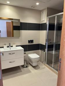 uma casa de banho com um WC, um lavatório e um chuveiro em Superbe appartement à l Hivernage em Marraquexe