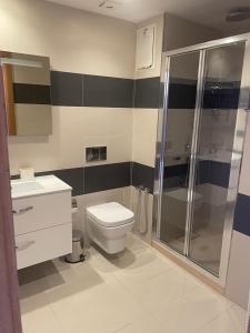 La salle de bains est pourvue d'une douche, de toilettes et d'un lavabo. dans l'établissement Superbe appartement à l Hivernage, à Marrakech