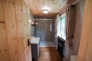 a bathroom with a shower and a sink and a toilet at Raleigh Lodge in Bideford
