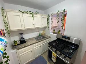 Η κουζίνα ή μικρή κουζίνα στο Dr Adorable Y Comfortable Apt para Su Disfrute