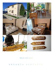 Fotografie z fotogalerie ubytování Vila Ariana v destinaci Băile Felix