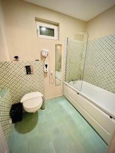 a bathroom with a toilet and a tub and a sink at Montana Family Villa in Văliug