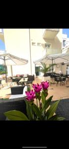 een vaas met roze bloemen voor een patio bij Hotel Miriam in Rimini