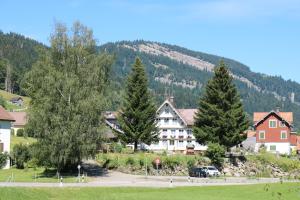 a group of houses in front of a mountain at Schlafen im Sternen Ennetbühl in Nesslau