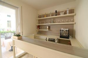 Kuchyň nebo kuchyňský kout v ubytování Hotel Miriam
