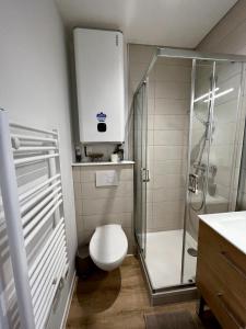 a bathroom with a toilet and a glass shower at Appartement Centre ville Le Havre in Le Havre