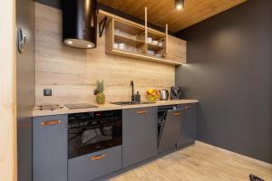 Kuchyňa alebo kuchynka v ubytovaní Premium Apartments Salwatoriańska Mountain View Zakopane by Renters Prestige