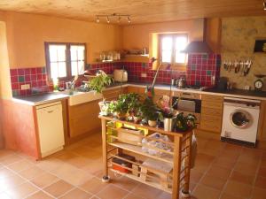 eine Küche mit einem Tisch und Pflanzen darauf in der Unterkunft Maison de charme à Saoû, avec beau jardin au calme in Saou