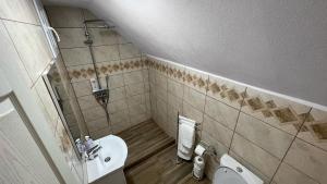 La petite salle de bains est pourvue d'une douche et de toilettes. dans l'établissement Casa Aurelia, à Chişcău