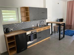 - une cuisine avec un évier et un comptoir dans l'établissement Apartamenty pod Wierzbami, à Dwikozy