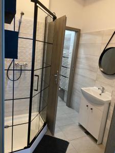 La salle de bains est pourvue d'une douche, d'un lavabo et d'un miroir. dans l'établissement Apartamenty pod Wierzbami, à Dwikozy