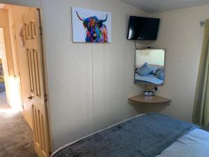 TV a/nebo společenská místnost v ubytování Teviotview Riverside Retreat