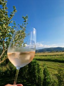 a person holding a glass of white wine in a field at Guest House Belchin View in Belchin