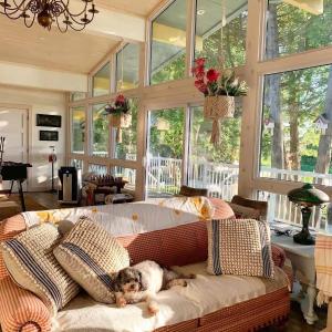 a dog laying on a couch in a room with windows at Sunflower Shores - South Bruce Peninsula - Bright Chalet on Lake Huron Once Upon A Stay in Wiarton