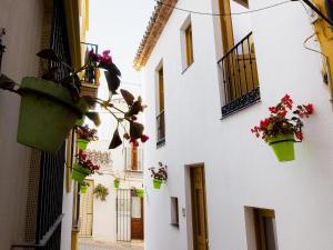 eine Gasse mit Blumentopfen an der Seite eines Gebäudes in der Unterkunft Calle Pintado 21 Bajo in Estepona